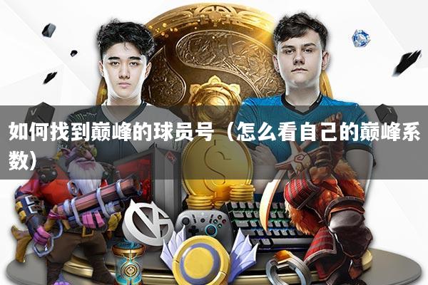 如何找到巅峰的球员号（怎么看自己的巅峰系数）