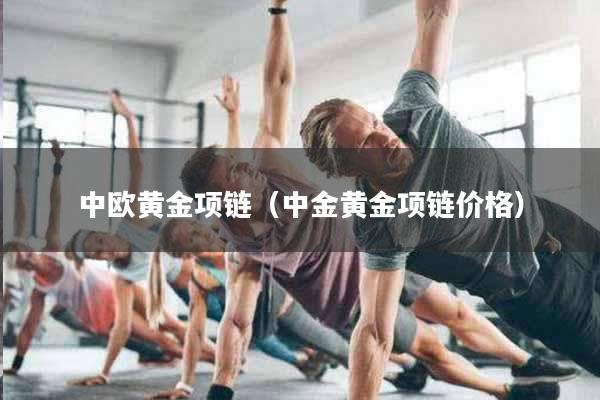 中欧黄金项链（中金黄金项链价格）
