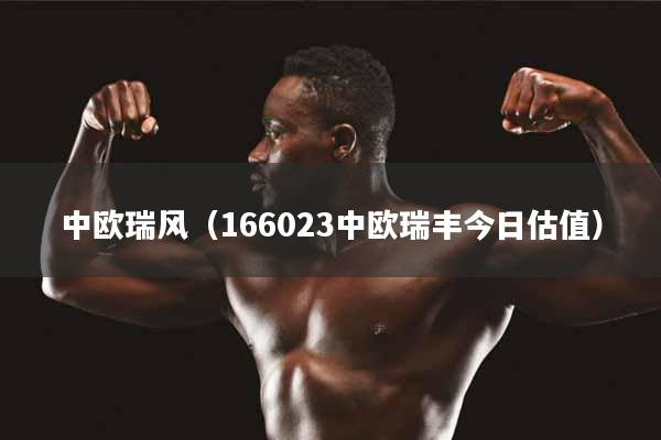中欧瑞风（166023中欧瑞丰今日估值）
