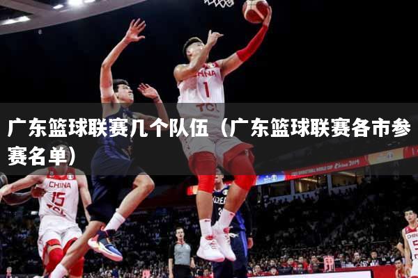 广东篮球联赛几个队伍（广东篮球联赛各市参赛名单）